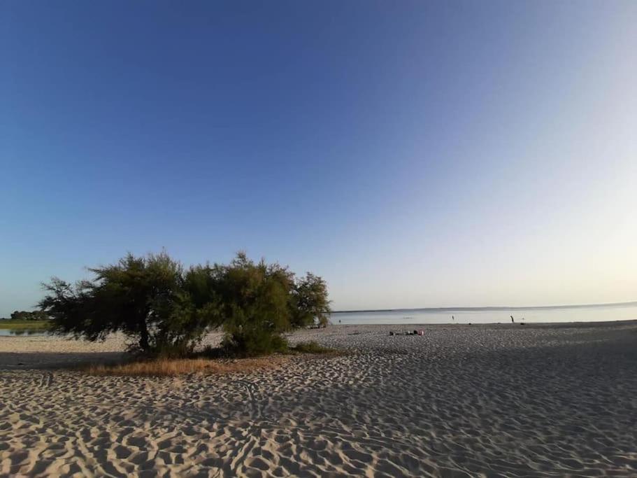 Holiday home La Maisonnette De Suzette *